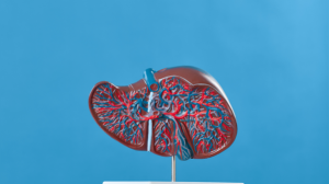 Fatty Liver Disease: Understanding the Differences Between Grade 1 and Grade 2 and Exploring Reversal Strategies