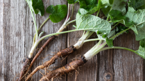 Struggling with High Blood Pressure? These 5 ancient herbs could be the answer