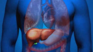 High Blood Pressure's Hidden Threat: 5 Overlooked Signs of Liver Damage
