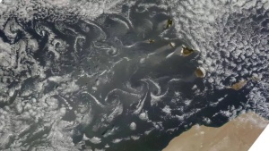 NASA captured 10 mysterious dark voids over remote island near Antarctica: What they reveal about the bizarre natural phenomena