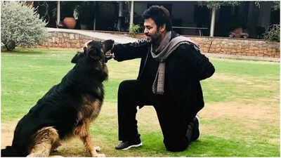 Venkatesh Daggubati Heartbroken Over Death of Beloved Dog, Google