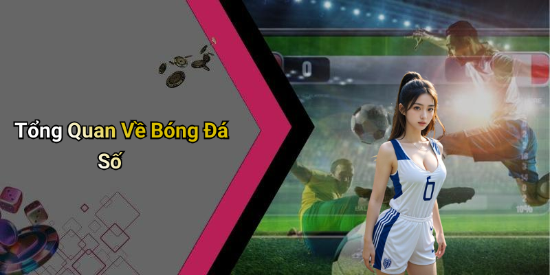 Tổng Quan Về Bóng Đá Số