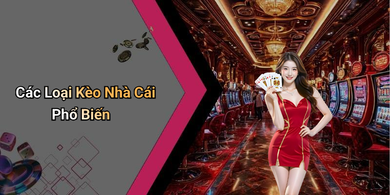 Các Loại Kèo Nhà Cái Phổ Biến