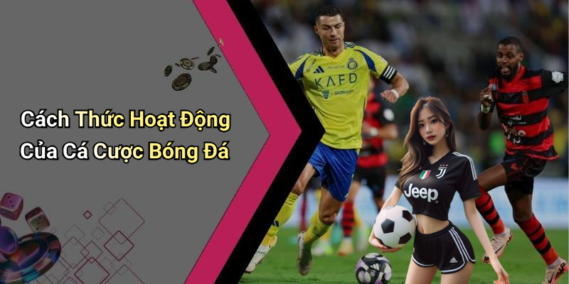Cách Thức Hoạt Động Của Cá Cược Bóng Đá