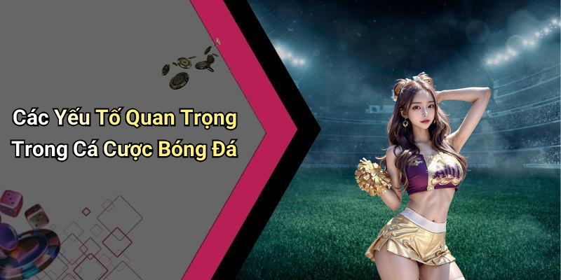Các Yếu Tố Quan Trọng Trong Cá Cược Bóng Đá