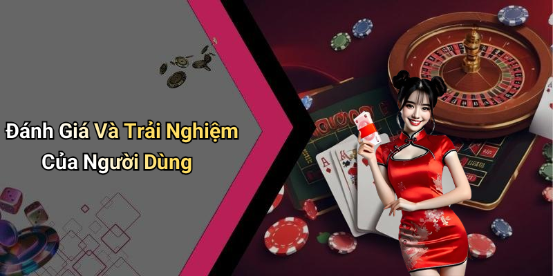 Đánh Giá Và Trải Nghiệm Của Người Dùng