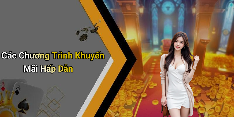Các Chương Trình Khuyến Mãi Hấp Dẫn