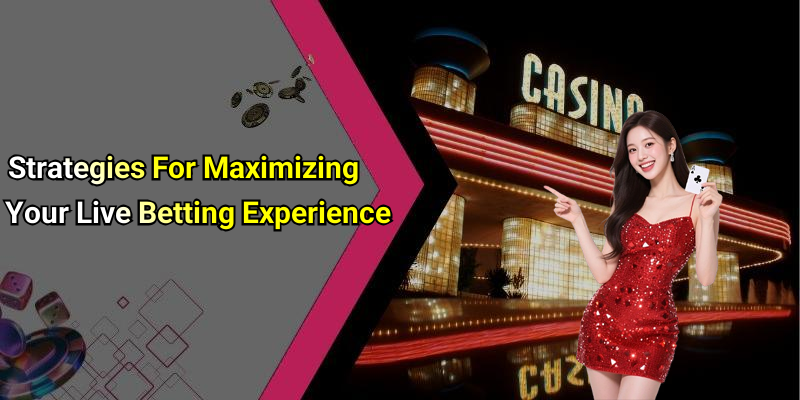 Strategies For Maximizing Your Live Betting Experience